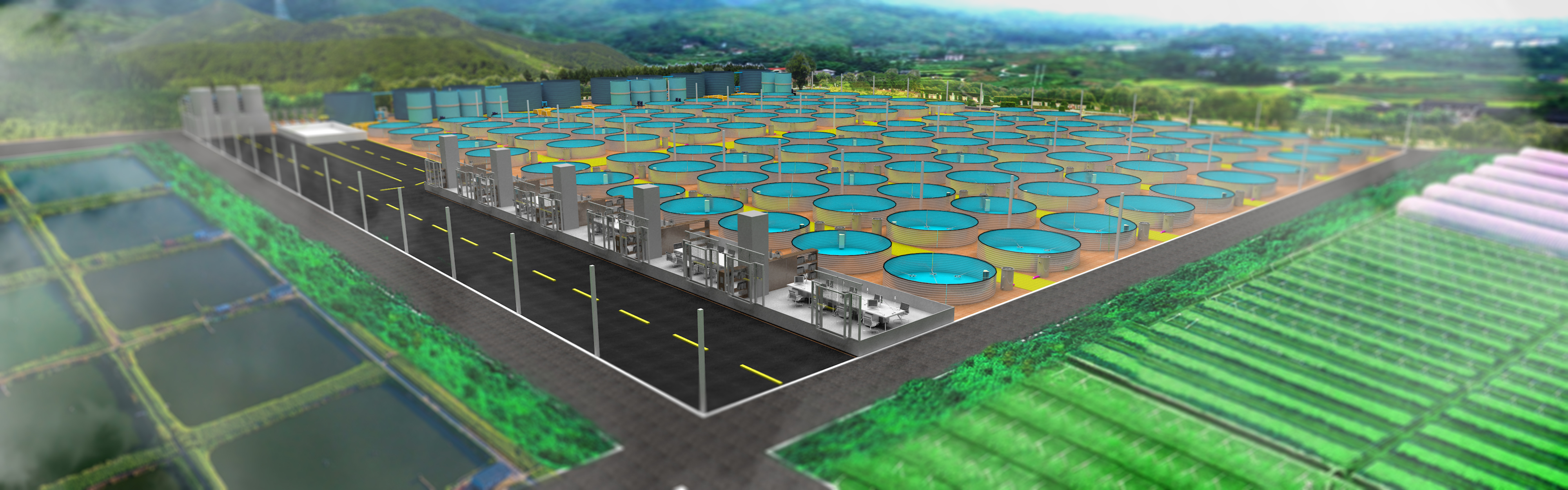 循環水養殖設備設設計案例